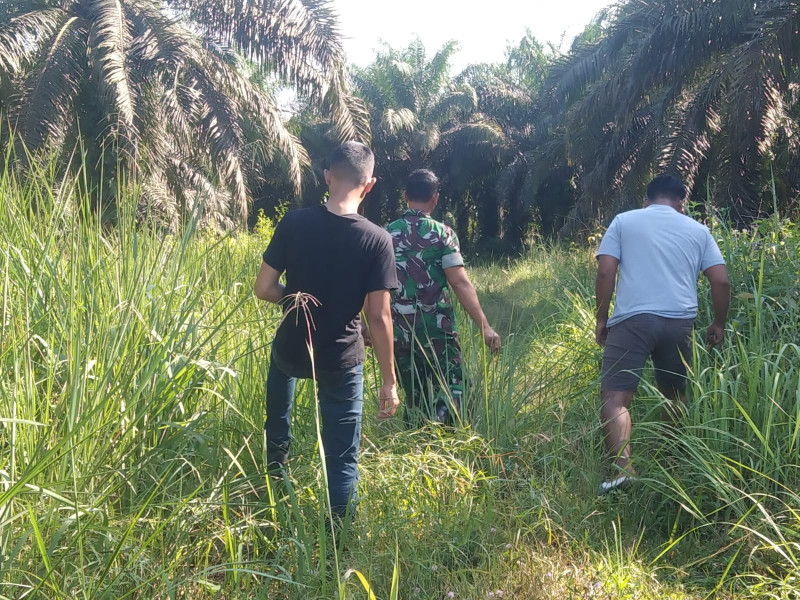 Koptu Lasroha Sigalingging, Patroli Pencegahan Karhutla, Situasi Terpantau Aman