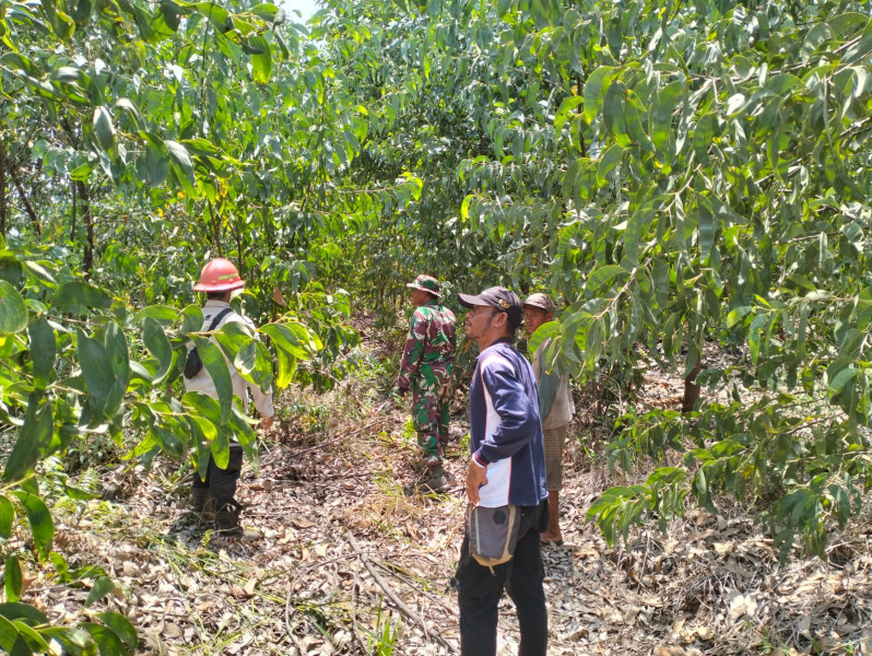 Babinsa Serka Risman Girsang Bersama Warga Binaan dan MPA di Kampung Sungai Selodang Patroli Antisipasi Karhutla di Wilayah Dusun Tanah Sanggi
