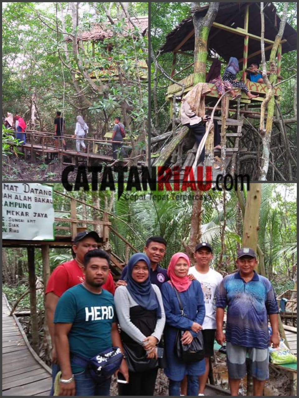 Pengunjung Mangrove Rawa Mekar Jaya Membeludak