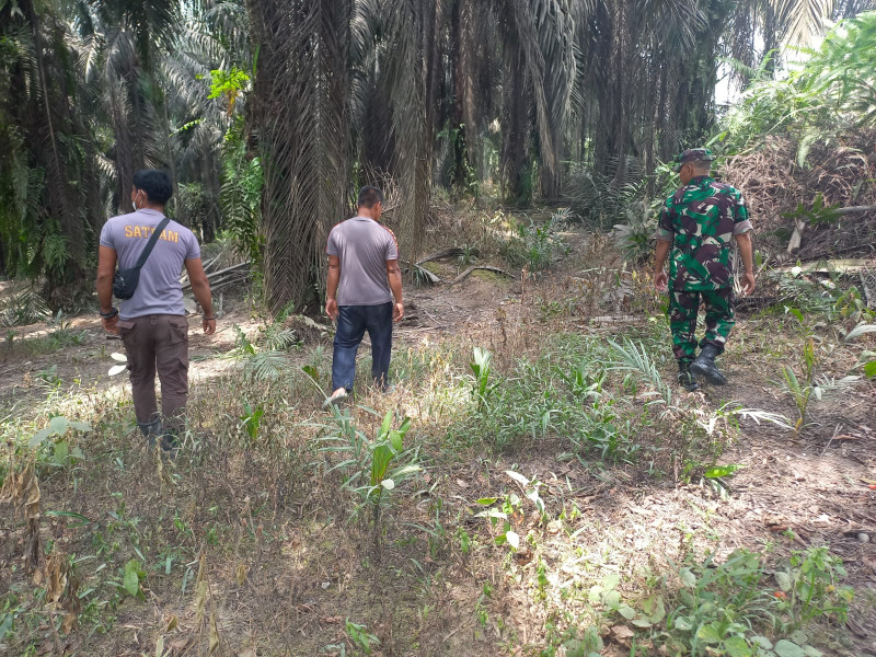 Bersama Warga Maredan Beserta Tim, Serka Afrisal Lakukan Giat Patroli Guna Cegah Karlahut