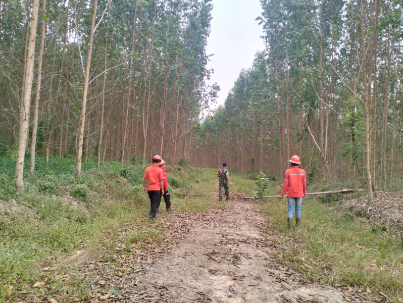Babinsa Koramil 03/Minas Serda Haris SP Patroli Rutin, Situasi Karhutla Terkendali