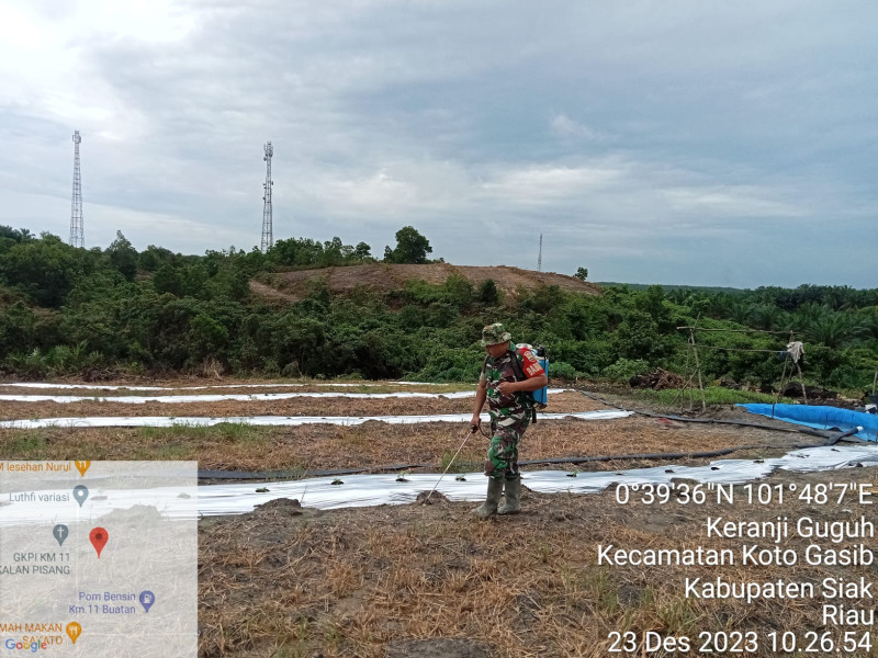 Babinsa Koramil 04/Perawang Lakukan Pembersihan Lahan Program Ketahanan Pangan di Kecamatan Koto Gasib