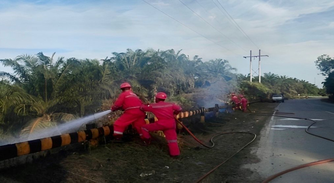 Terjun Langsung ke Lokasi, PHR Bantu Atasi Kebakaran Hutan Riau di Musim Kemarau
