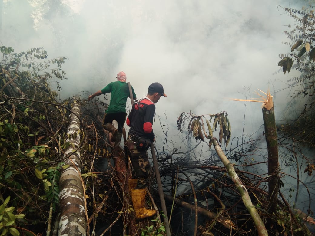 150 Banser Siak Terjun Padamkan Kebakaran Lahan di Pelalawan.