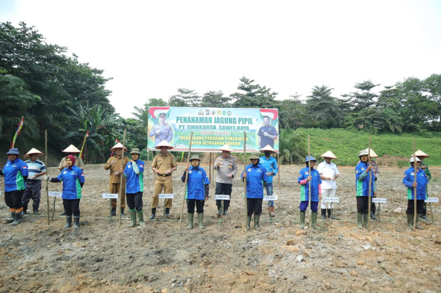 Bersama Polres Inhu, PT. SSR Manfaatkan Lahan Kosong di Area Pabrik Jadi Ladang Jagung Pipil
