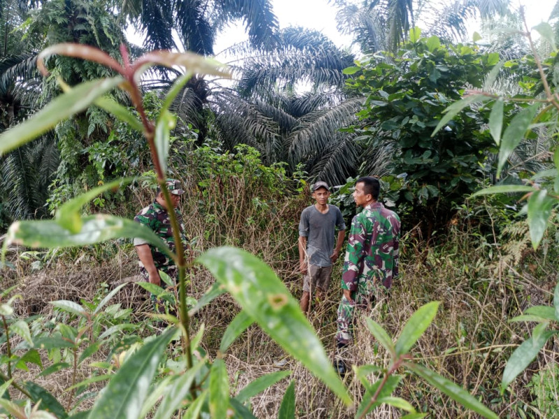 Bersama Tim Serta Warga Binaan Di Muara Bungkal, Serka D Sihombing Rutin Lakukan Patroli Kebakaran Hutan Dan Lahan