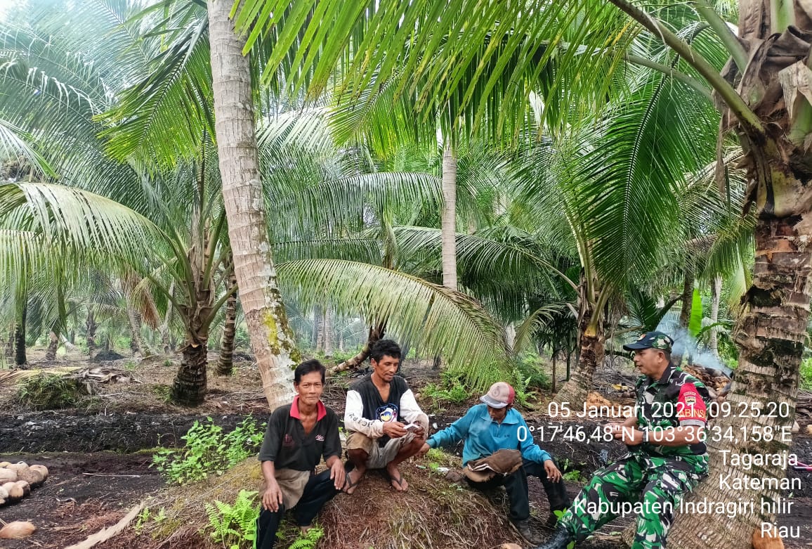Sertu Kadirus Melaksanakan Komunikasi Sosial Terhadap Para Petani Kelapa