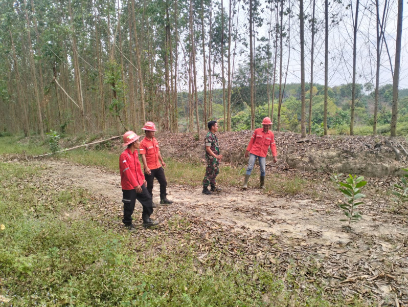 Serda Holmes Pasaribu Bersama RPK Lakukan Kegiatan Patroli Dan Cek Embung Bertujuan Untuk Antisipasi Karhutla di Muara Kelantan