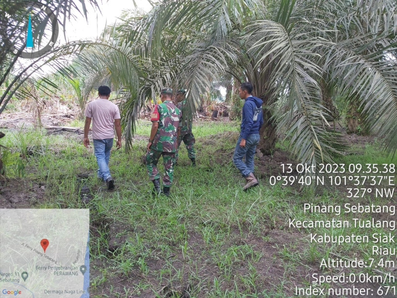 Babinsa Koramil 04/Perawang Rutin Ajak Warga Binaan Giat Penanggulangan Karhutla & Berpatroli di Kampung Pinang Sebatang