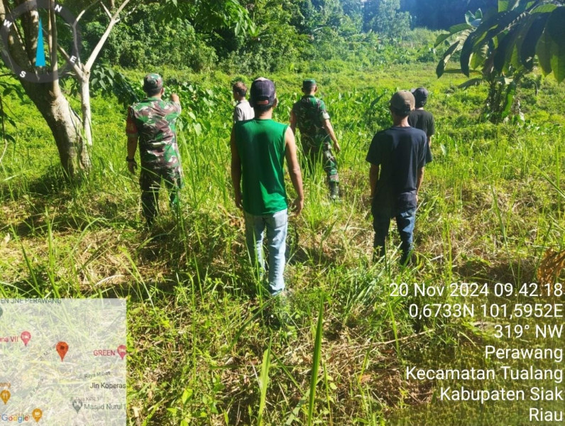 Babinsa Serda K Manullang & Serda Dedy Lakukan Patroli Pencegahan Karhutla di Kelurahan Perawang, Situasi Aman