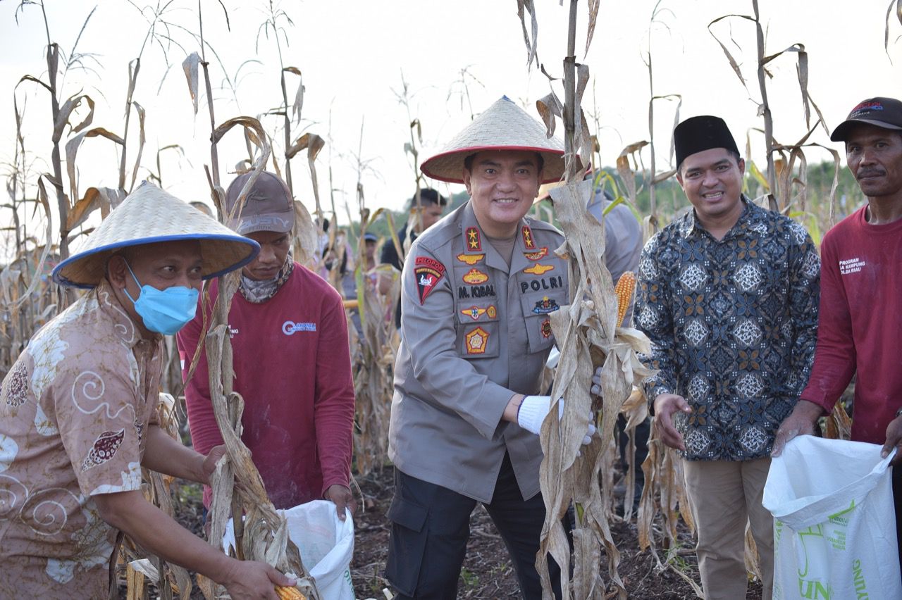 Irjen Iqbal Lakukan Panen Perdana Tanaman Hortikultura di Lahan Polda Riau