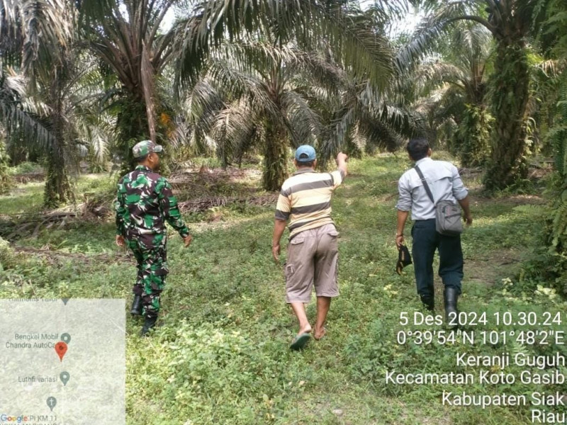 Situasi Kondusif, Babinsa Koramil 04/Perawang Aktif Patroli Pencegahan Karhutla di Tasik Seminai