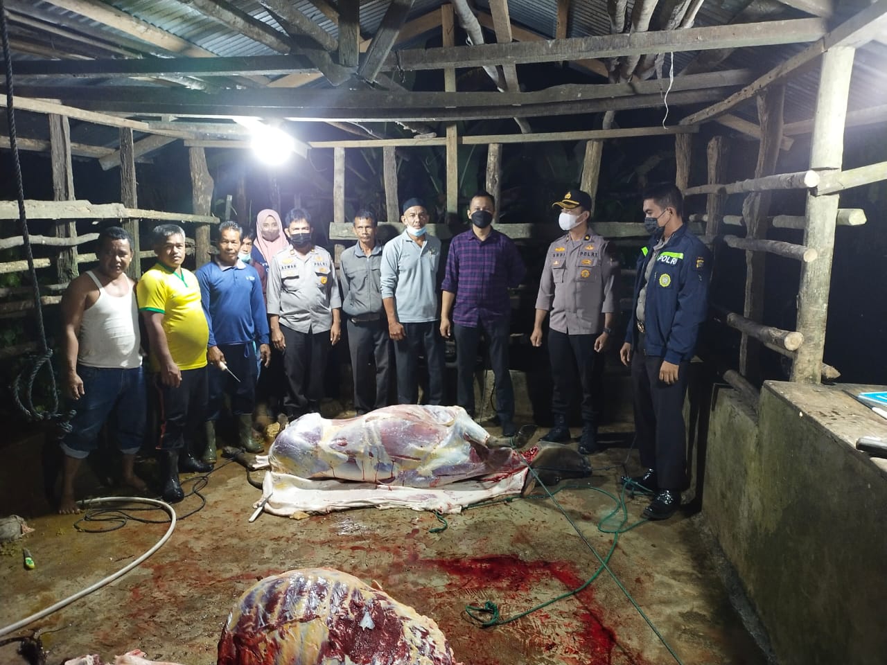 Tim Terpadu Provinsi Riau lakukan WASDAL pemotongan hewan betina produktif di TPH