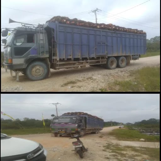 Warga Langgam Resah, Kehadiran Truck Bertonase Besar Rusak Jalan  Kadishub :  Dilarang Saja