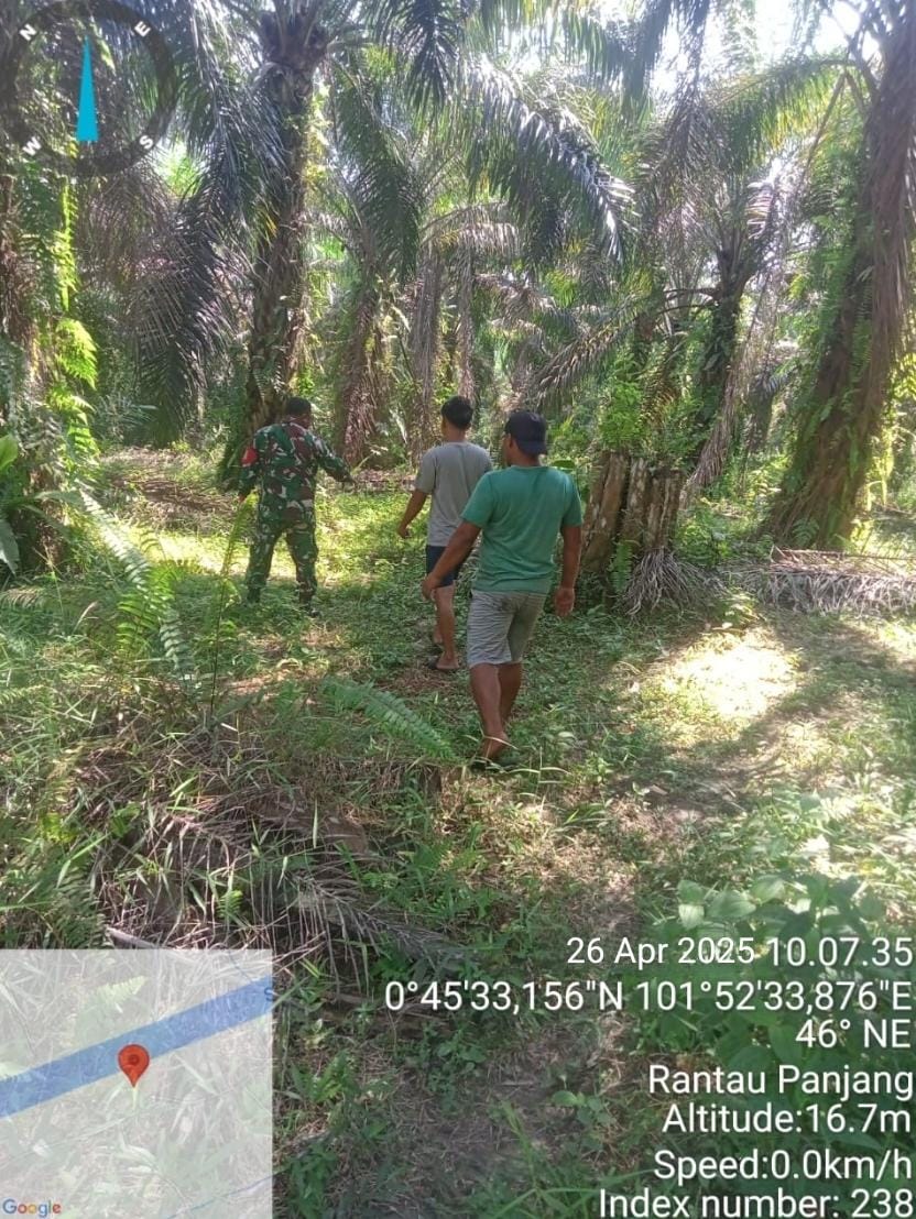 Upaya Pencegahan Karhutla Terus Digencarkan, Babinsa Koramil 04/Perawang Intensifkan Patroli