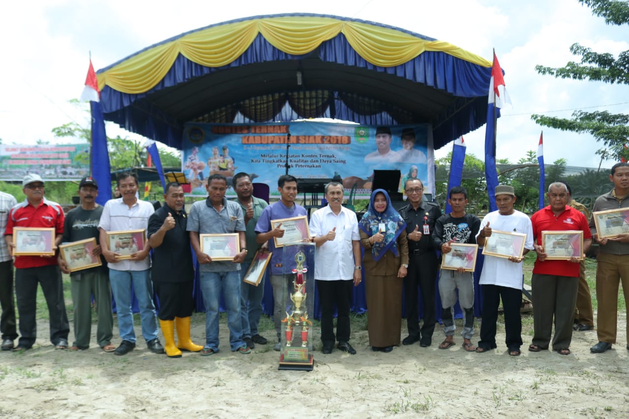 Kontes ternak tingkat Kabupaten Siak diikuti kontestan dari 12 Kecamatan.