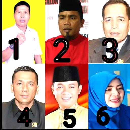 Enam Anggota DPRD Riau Pilih Mundur Maju Pilkada Kejar Bupati dan Wakil Bupati