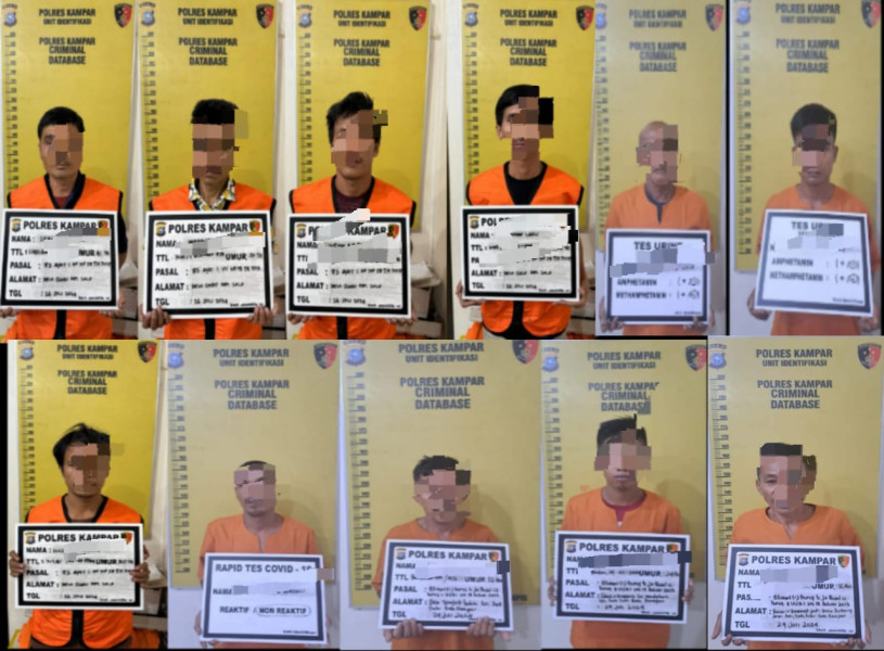Tak Main-Main! Dampak Buruk Bagi Pelaku Ilegal Logging, Begini Nasibnya Sekarang
