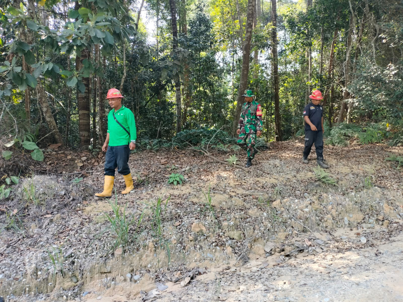 Babinsa Sertu J Purnomo Bersama Tim Serta Warga Binaannya Lakukan Patroli Karlahut Di Bencah Umbai