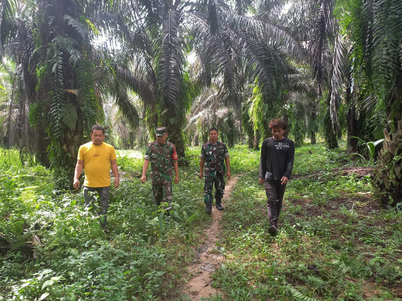 Bersama Warga di Kampung Maredan Barat, Serka Afrisal dan Serda Laila Syahdanur Patroli Gabungan Untuk Cegah Karhutla