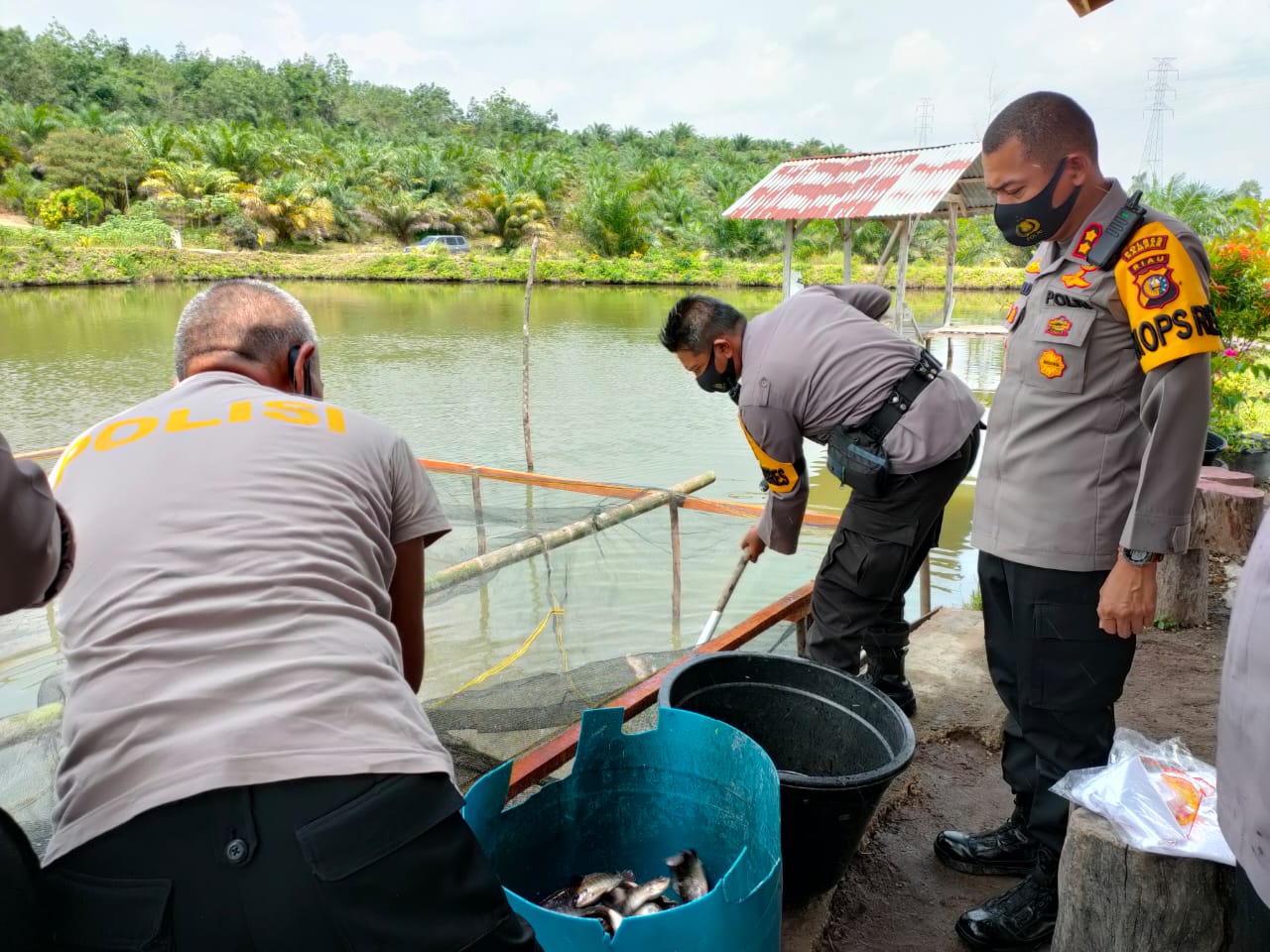 Kapolres Kampar Berbagi Hasil Panen Ikan Program Jaga Kampung Dengan Wartawan