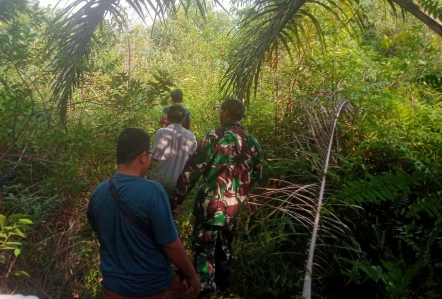 Babinsa Koramil 03/Minas Lakukan Penanggulangan Karhutla Dengan Berpatroli Bersama Masyarakat di Kampung Mandiangin 