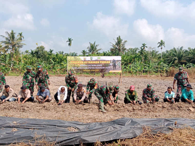 Korem 031 Lounching Penanaman Budidaya Labu Madu Di Desa Pengalihan Keritang