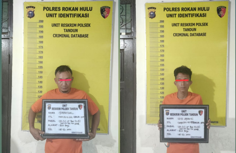 Polsek Tandun Berhasil Tangkap Dua Pria dalam Kasus Narkotika Di Desa Bono Tapung