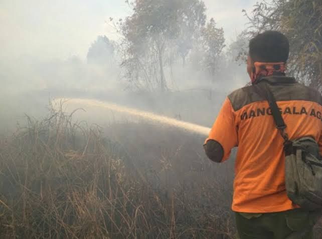 Juni 2019 Dipredeksi Puncak Musim Panas Di Riau, BPBD Tingkatkan Pengawasan Karhutla