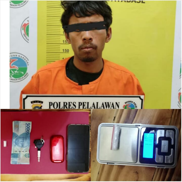 Tim Resnarkoba Polres Pelalawan Tangkap Pelaku Narkoba Padang Luas Langgam
