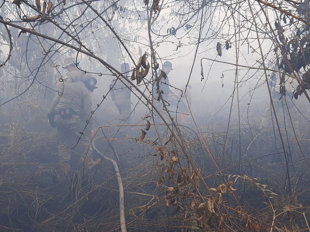 Sejak Januari 2020 Lalu, Sudah Seluas 797,53 Ha Lahan Terbakar di Riau