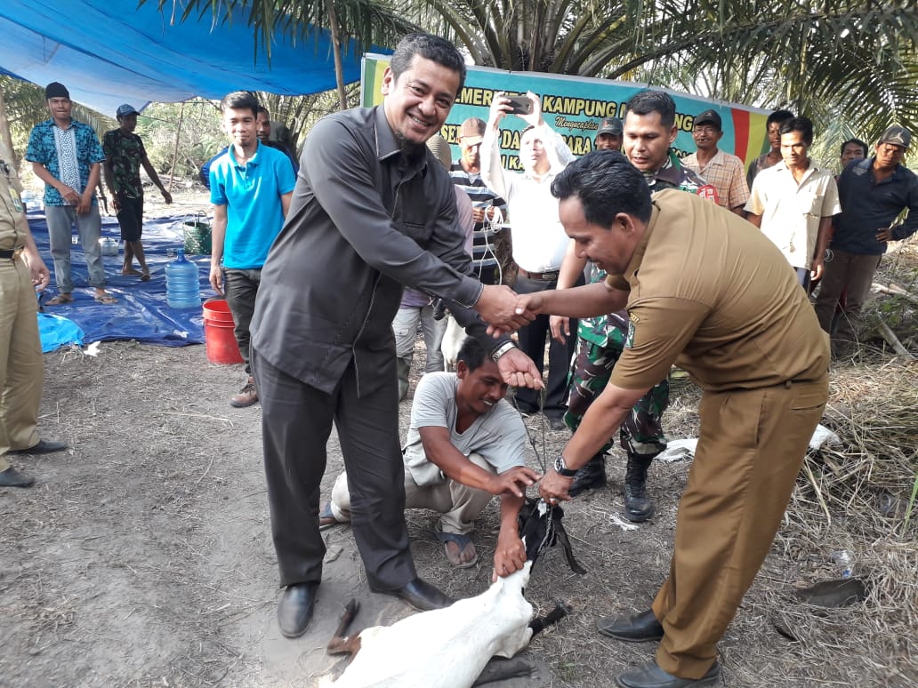 Wakil DPRD Riau Beserta Dinas Transmigrasi Riau Serahkan 80 Ekor Bantuan Kambing Di Kampung Mandiang