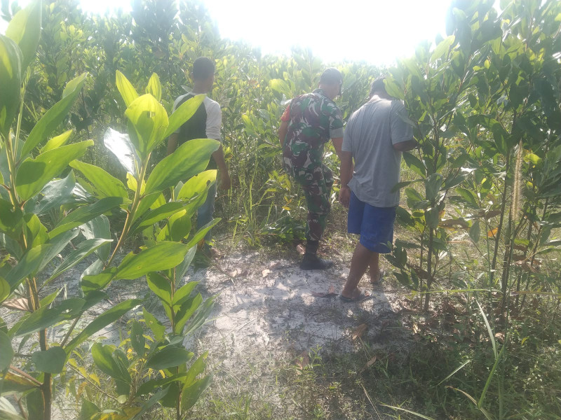 Babinsa Koramil Perawang Koptu Togi Sitorus Ajak Warga Binaan Patroli Gabungan Antisipasi Karhutla Secara Rutin