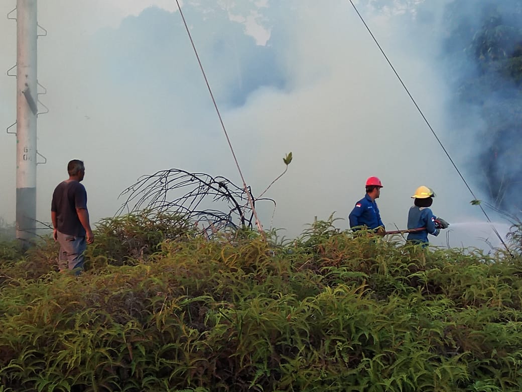 1 Hektar Hutan Lindung Dikawasan PT CPI Minas Petang Tadi Terbakar