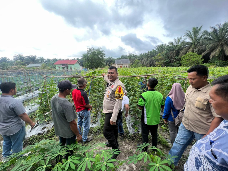Polsek Lirik Ingatkan Petani Gunakan Hak Pilih di Pilkada