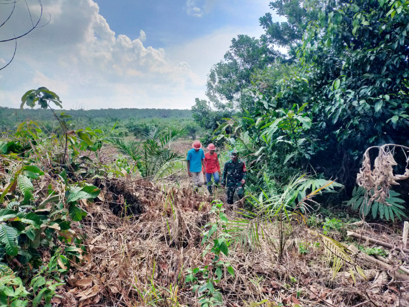 Babinsa Koramil 03/Minas Giat Penanggulangan Karhutla Dengan Cara Berpatroli Bersama Masyarakat di Kampung Bencah Umbai