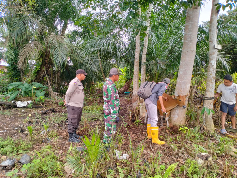 Babinsa Koramil 03/Minas Giat Pendampingan PMK di Kampung Sungai Selodang