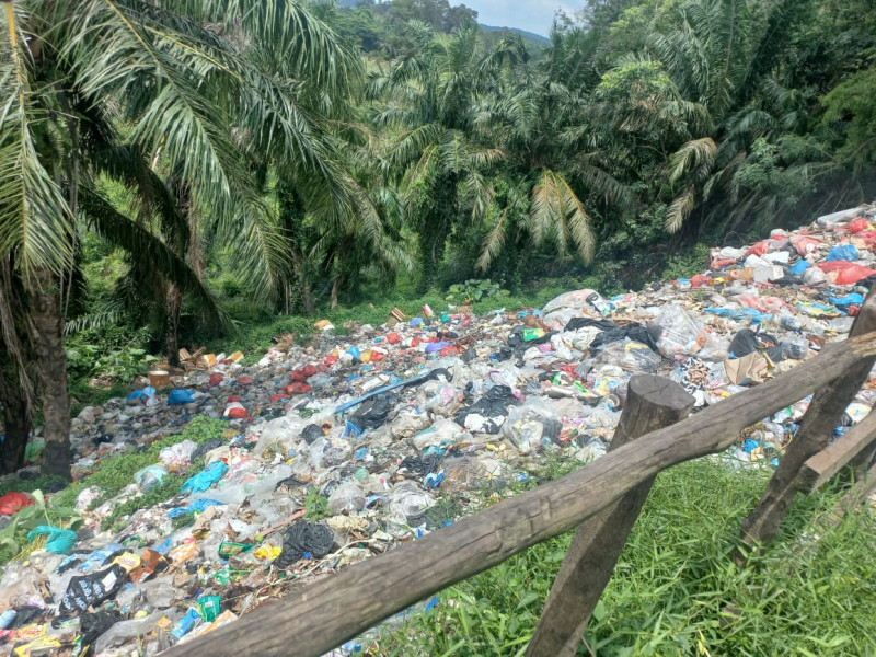 Warga Kelurahan Selensen Inhil Keluhkan Bau Busuk Tumpukan Sampah Diseputaran Jalan Sembukan, Ini Kata Lurah