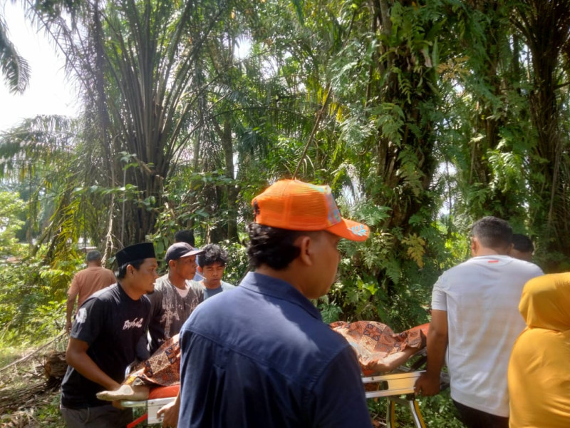 Terima Informasi Penemuan Mayat, Polsek Ujung Batu Bergegas Cek TKP