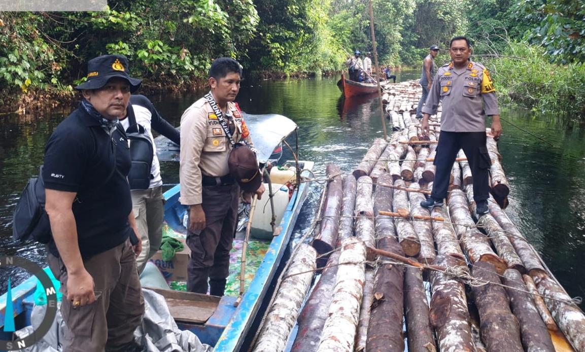 Gerak Cepat Polres Siak Selidiki Dugaan Tindak Pidana Ilegal Logging di Kampung Rawa Mekar Jaya