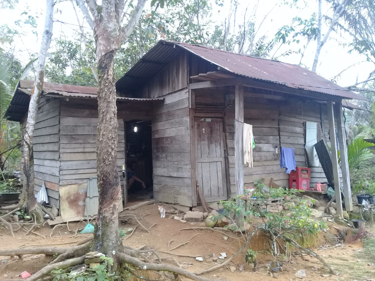 Penghuni Rumah Reot di Koto Mesjid Kabupaten Kampar Ini Tak Ada Sentuhan Dari Pemerintah