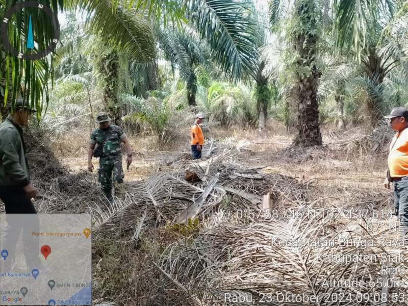 Patroli Karhutla Koramil 06/PWK Sabak Auh, Situasi Aman dan Nihil Titik Api