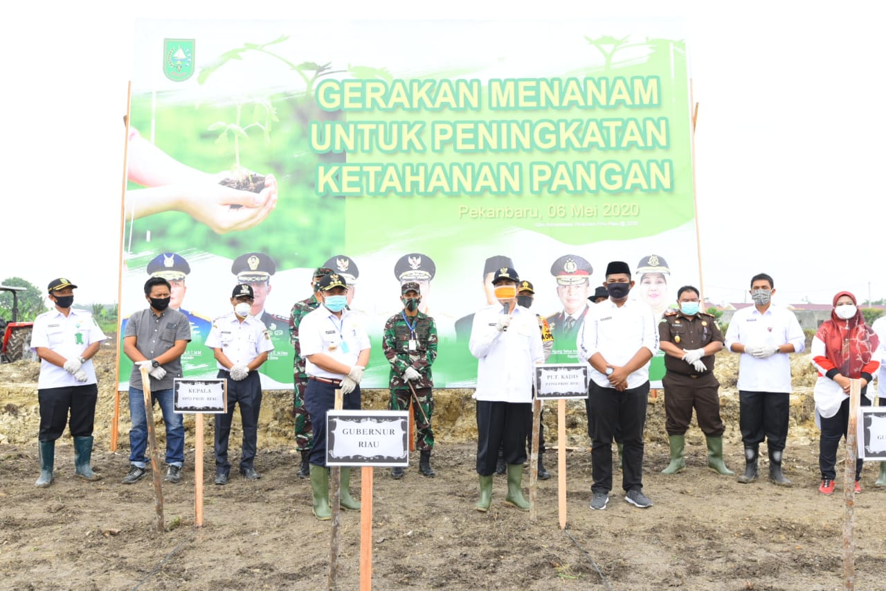 Gubri : Corona hilang, jangan sampai ada masalah pangan di Riau