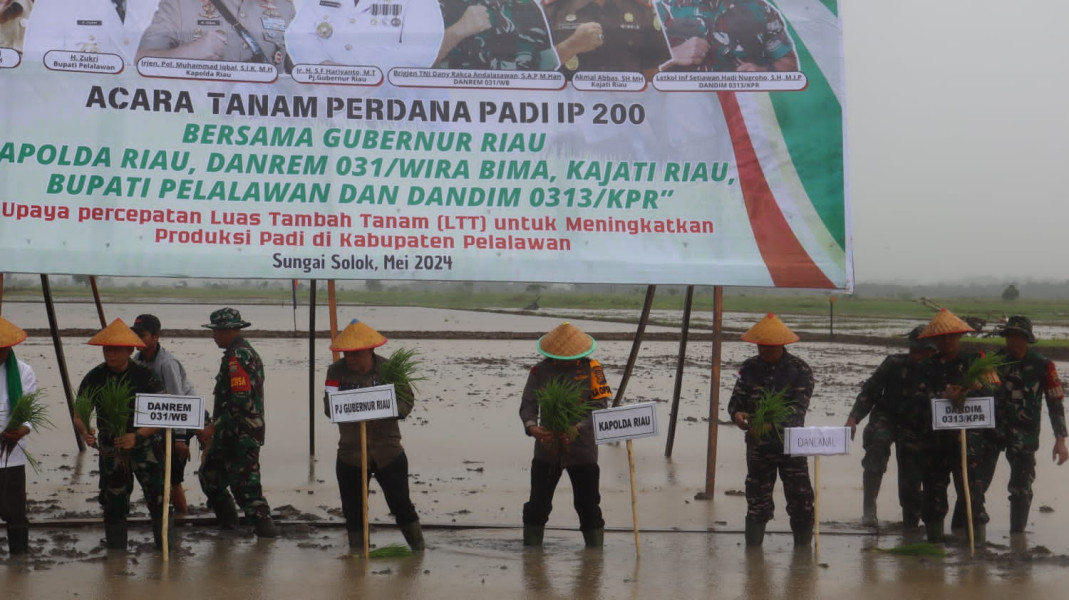 TNI Dukung ketahanan Pangan : Untuk Program Penanaman Padi IP200
