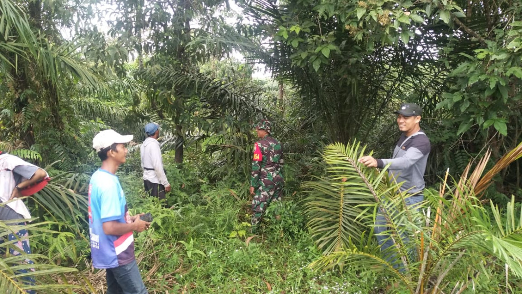 Di Kampung Minas Timur, Babinsa Koramil 03/Minas Patroli Pencegahan Karhutla, Situasi Aman
