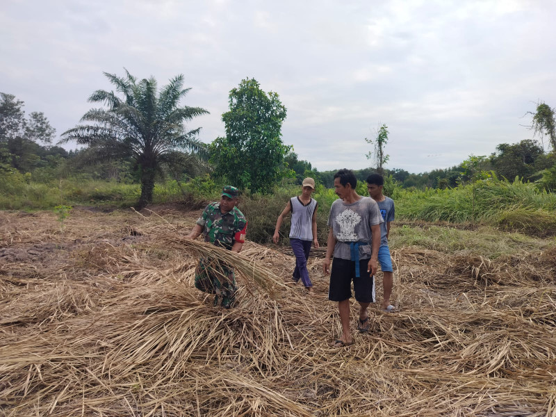 Bersama Tim, Sertu Sahidin Lakukan Giat Patroli Gabungan Guna Cegah Karlahut Di Kelurahan Perawang