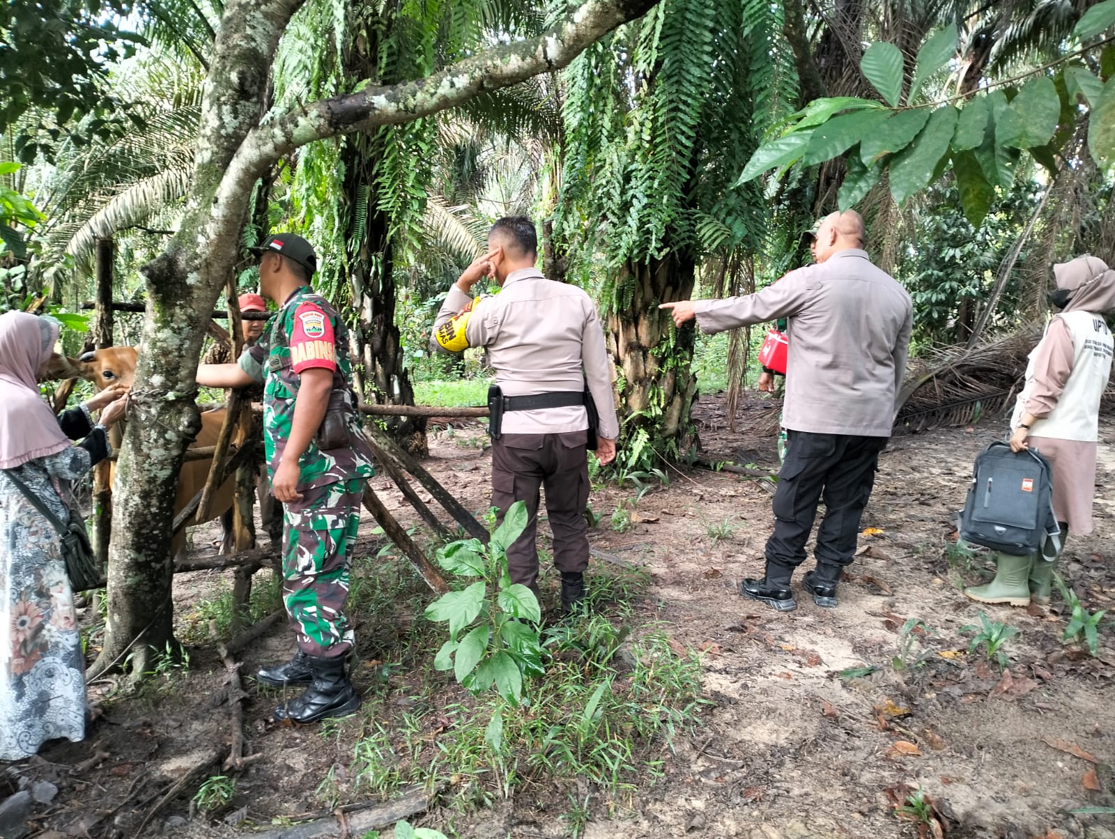 Bersama Stakeholder Terkait, Kopda Salomo Sembiring Lakukan Pendampingan Vaksinasi Hewan Ternak Sapi di Minas Jaya