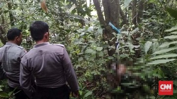 Petugas KPPS Ditemukan Tewas Membusuk Di Hutan Setelah Hilang Selama 5 Hari