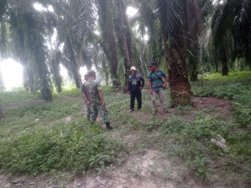 Babinsa Koramil 04/Perawang Intensifkan Patroli Karlahut, Gandeng Masyarakat di Kecamatan Koto Gasib