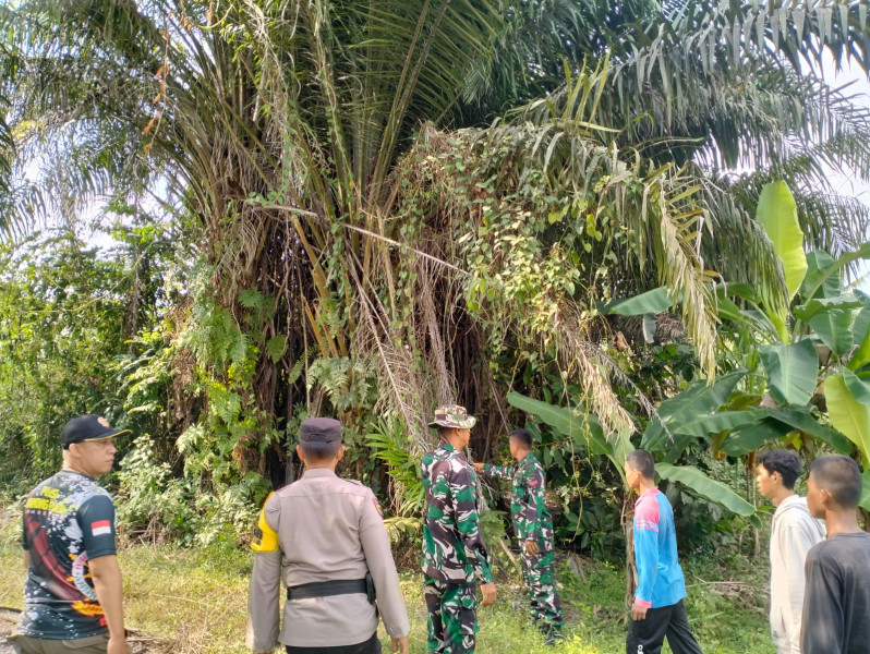 Bersama Warga Minas Timur & Tim, Koptu Salomo Sembiring Lakukan Patroli Guna Antisipasi Karhutla